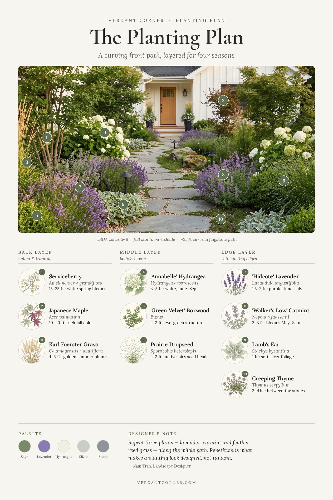 The Planting Plan: a front yard path with 10 numbered plants in back, middle and edge layers